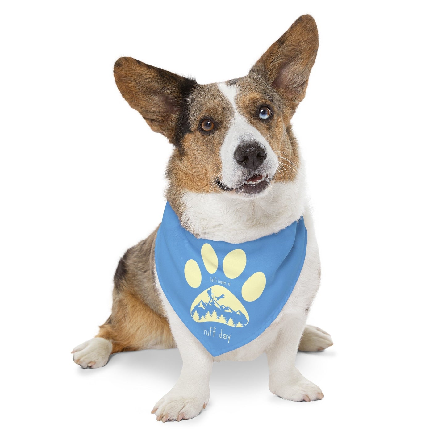 Let's Have a Ruff Day Pet Bandana with Collar