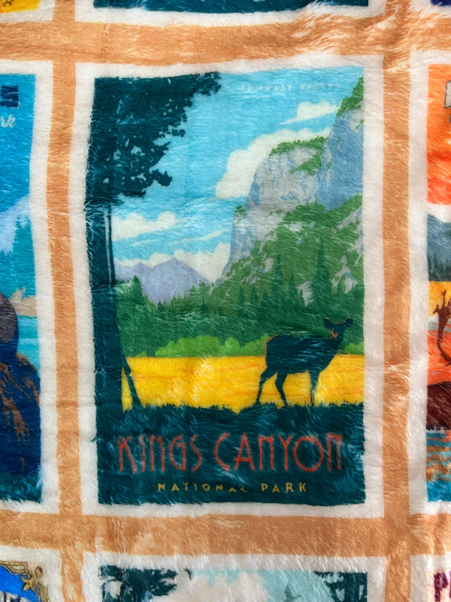 National Parks Fleece Blanket